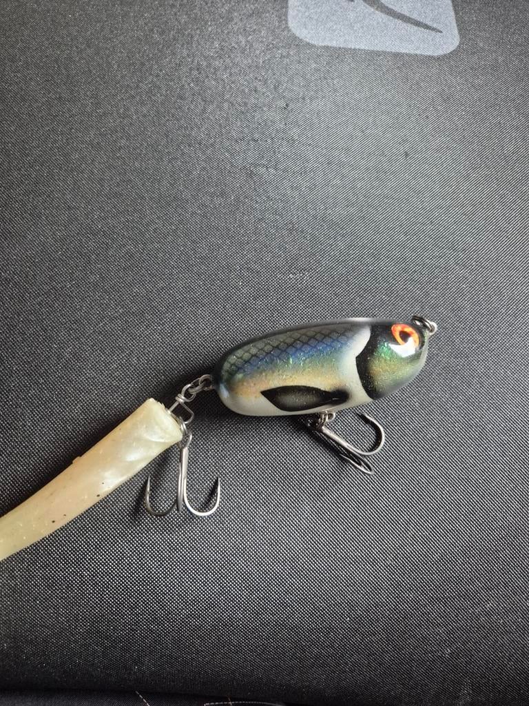 Esox inc doombel, Ophalen of Verzenden, Overige typen