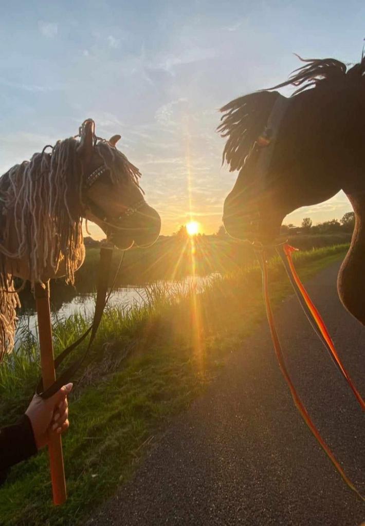 Hobby horse set, Verzenden, Nieuw