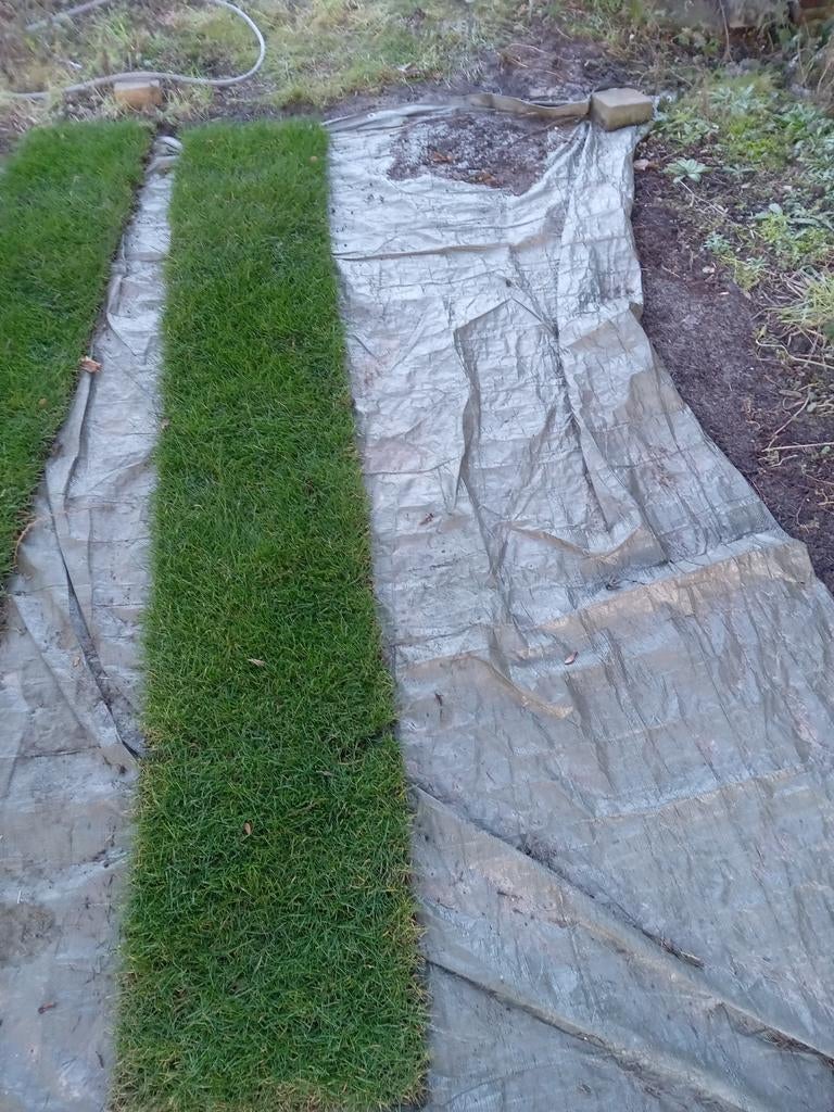 Top.kwalieit graszoden, Ophalen, Petra, 20 m² of meer, Nieuw