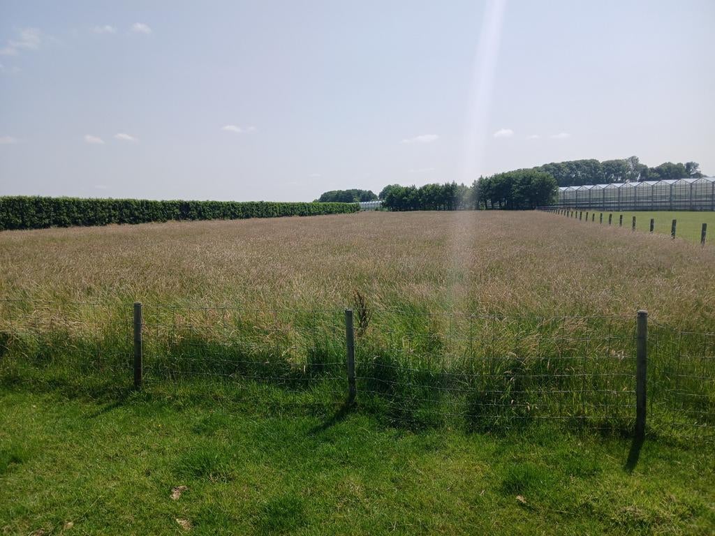 biologisch hooi, ronde balen, Dieren en Toebehoren, Dierenvoeding, Ophalen, Vee