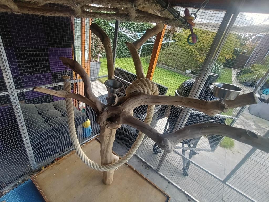 Zeer grote java boom (compleet), Ophalen, Zo goed als nieuw, Overige typen