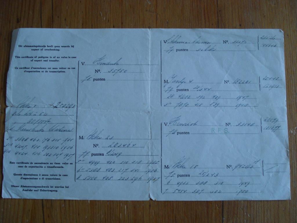 document rundvee stier koe, Ophalen, Gebruikt, Boerderijdier, Overige typen