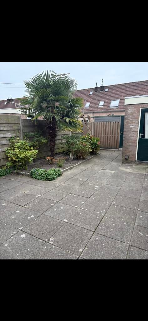 Gratis tuin tegels, Tuin en Terras, Ophalen, Gebruikt, 10 m² of meer, Beton