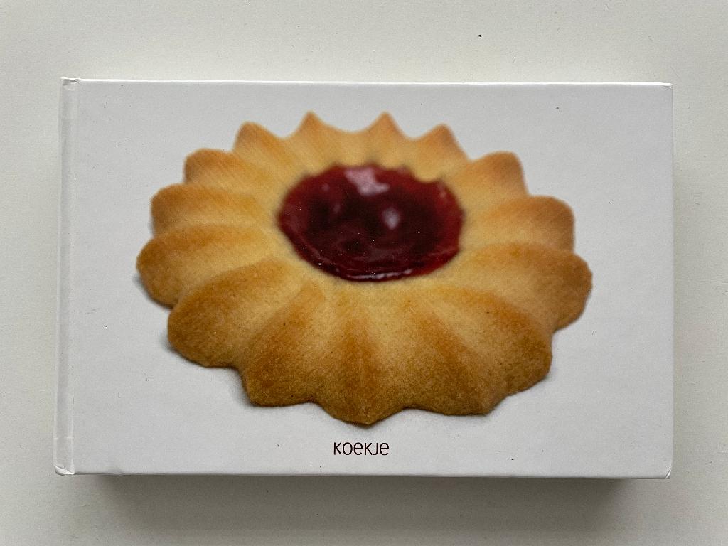 Koekje - Cees Holtkamp & Kees Raat, Verzenden, Overige typen, Zo goed als nieuw, Cees Holtkamp; Jonah Freud