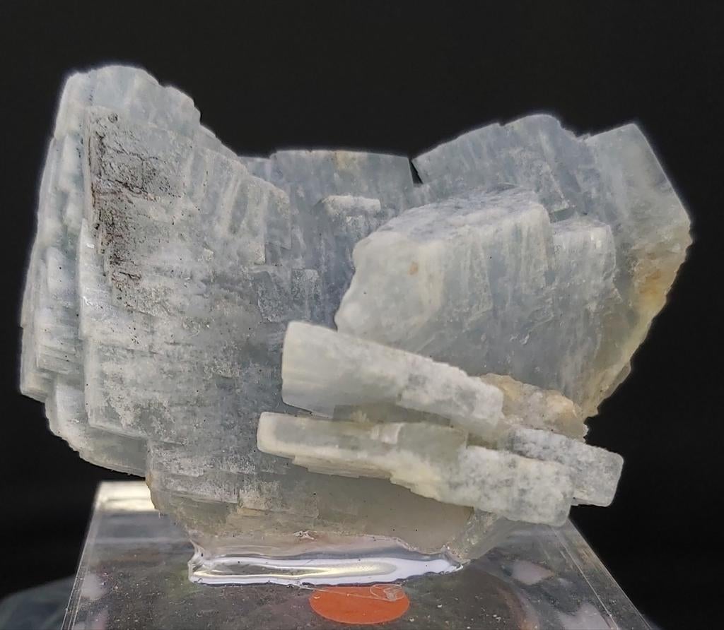 Blauwe bariet, Ophalen of Verzenden