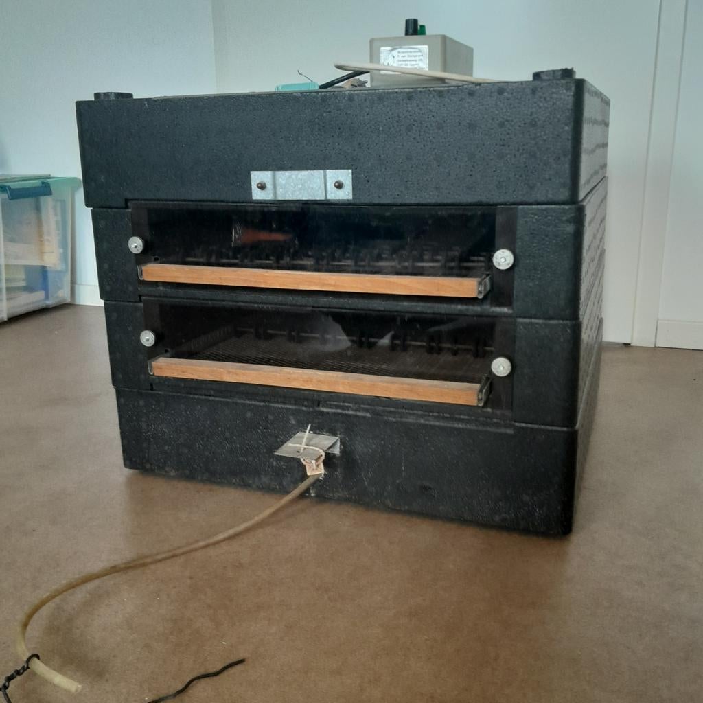 Broedmachine, Geslacht onbekend, Kip