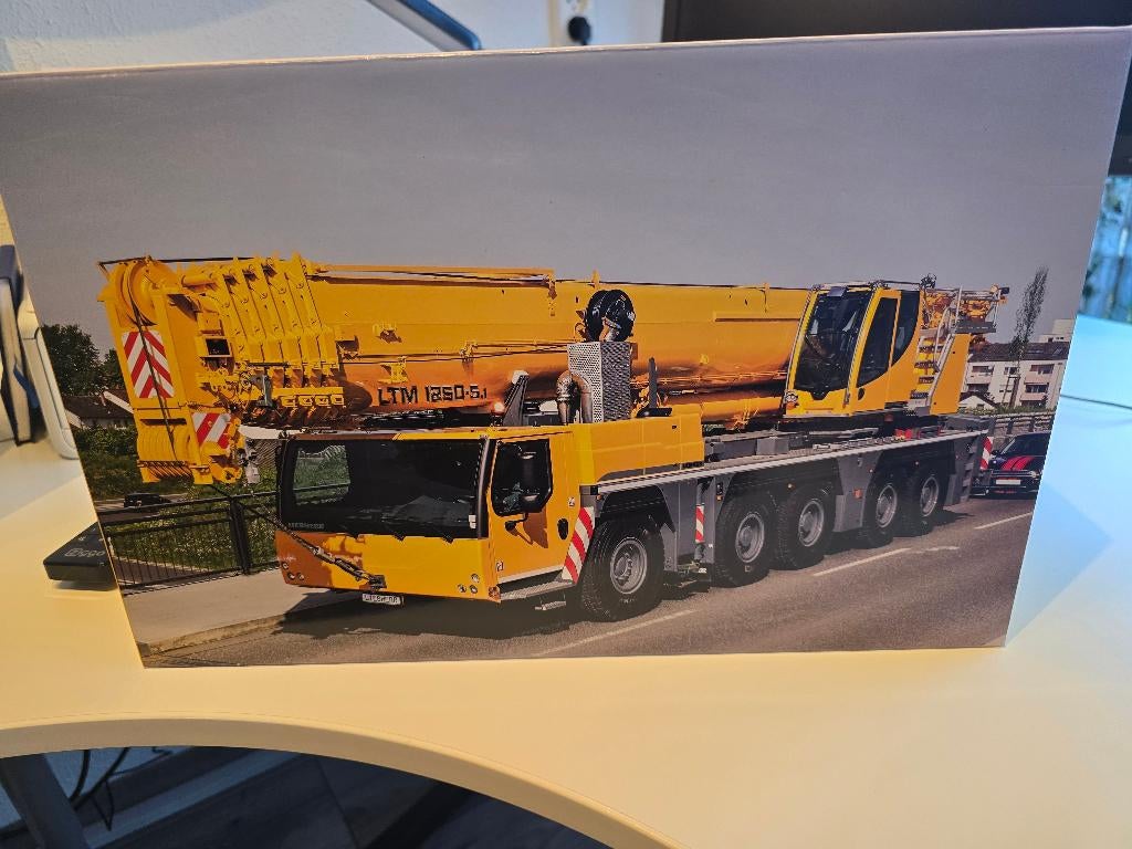 LTM 1250-5.1  1/50 Dornsellf, Ophalen of Verzenden, Nieuw, Bus of Vrachtwagen, NZG