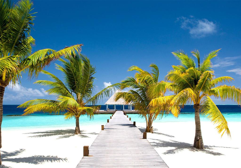 40 Palmboom Strand Paradijs Vlies Fotobehang 350x250 3 maten, Ophalen of Verzenden, Minder dan 10 m², Geel