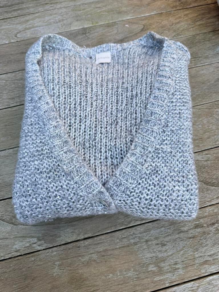 JC sophie vest mt L grijs metglimmers mohair wol acryl, Kleding | Dames, Truien en Vesten, Zo goed als nieuw, Maat 38/40 (M), Grijs