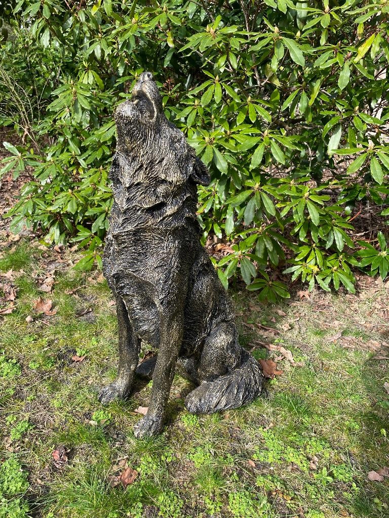 Beeld wolf, hond, terras, tuin, 75 cm, Tuin en Terras, Tuinbeelden, Ophalen, Nieuw, Kunststof, Dierenbeeld