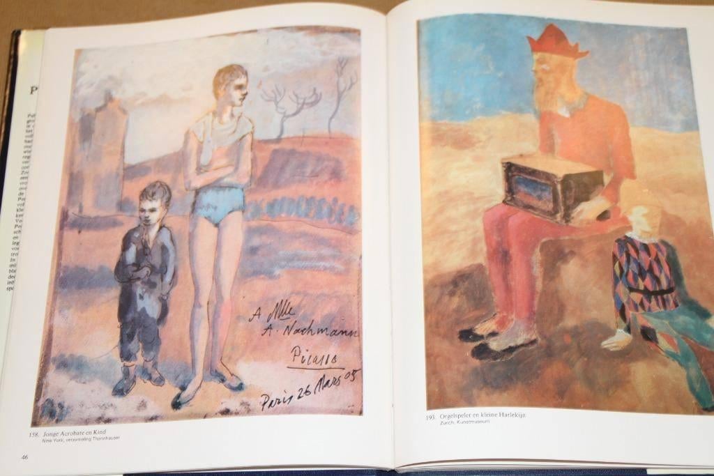 Het werk uit de Blauwe en Roze Periode van Picasso, Ophalen of Verzenden, Gelezen