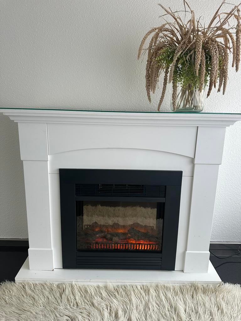 Elektrische haard, Huis en Inrichting, Haarden, Ophalen, Zo goed als nieuw, Vrijstaande haard, Elektrische haard