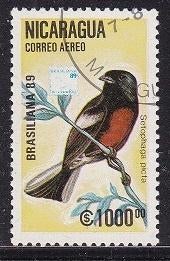 633 - Nicaragua michel 2946 gestempeld , Roodbuikzanger, Verzenden, Gestempeld, Midden-Amerika