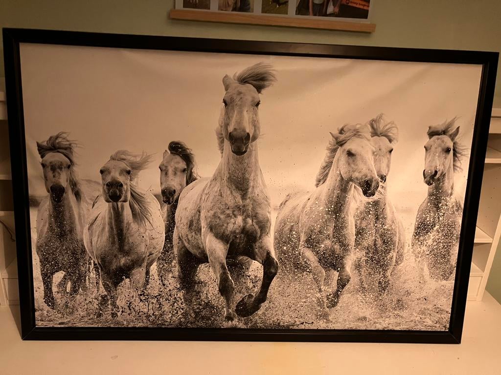 Paarden poster Ikea, Ophalen, Zo goed als nieuw, Foto of Poster, Minder dan 50 cm