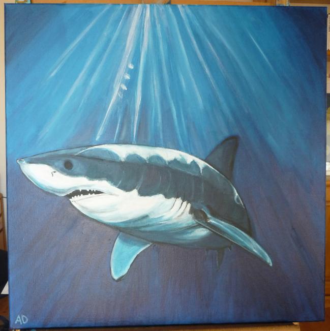 Haai, Ophalen of Verzenden