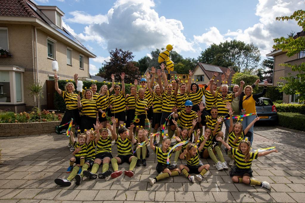 Kleding  Bijenthema kermiswagen, Maat 38/40 (M), Carnaval, Ophalen of Verzenden, Zo goed als nieuw