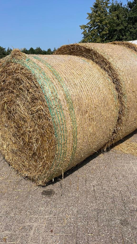 Te koop grote balen gerste stro, Ophalen of Verzenden, Vee