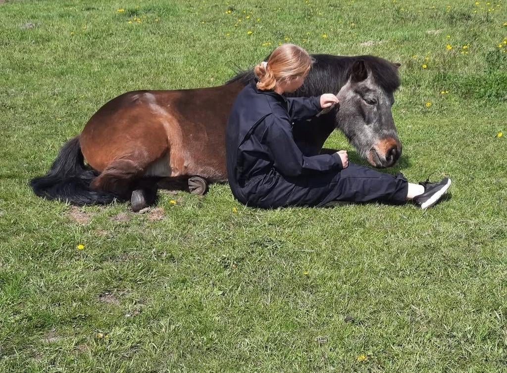 Ervaren dieren oppas aangeboden, Dieren en Toebehoren, Ophalen