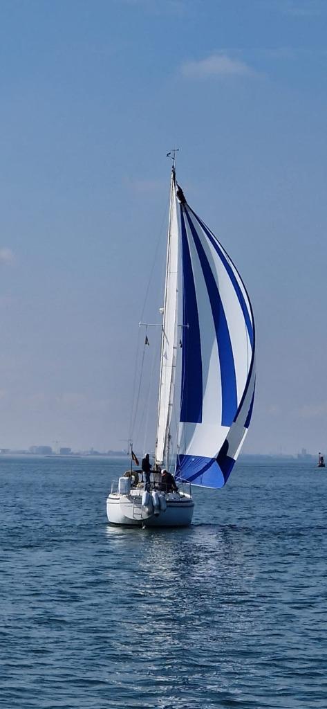 Contest zeilboot 36 CS te koop, Ophalen, Gebruikt, Diesel, 9 tot 12 meter