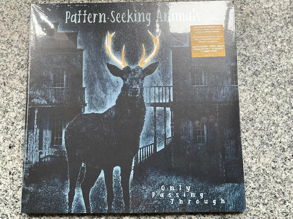 Pattern-Seeking Animals - Only Passing Through (LP), Ophalen of Verzenden, Nieuw in verpakking