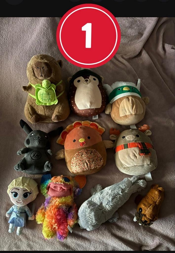 Diverse knuffels - 1 euro per stuk!, Ophalen of Verzenden, Zo goed als nieuw, Overige typen