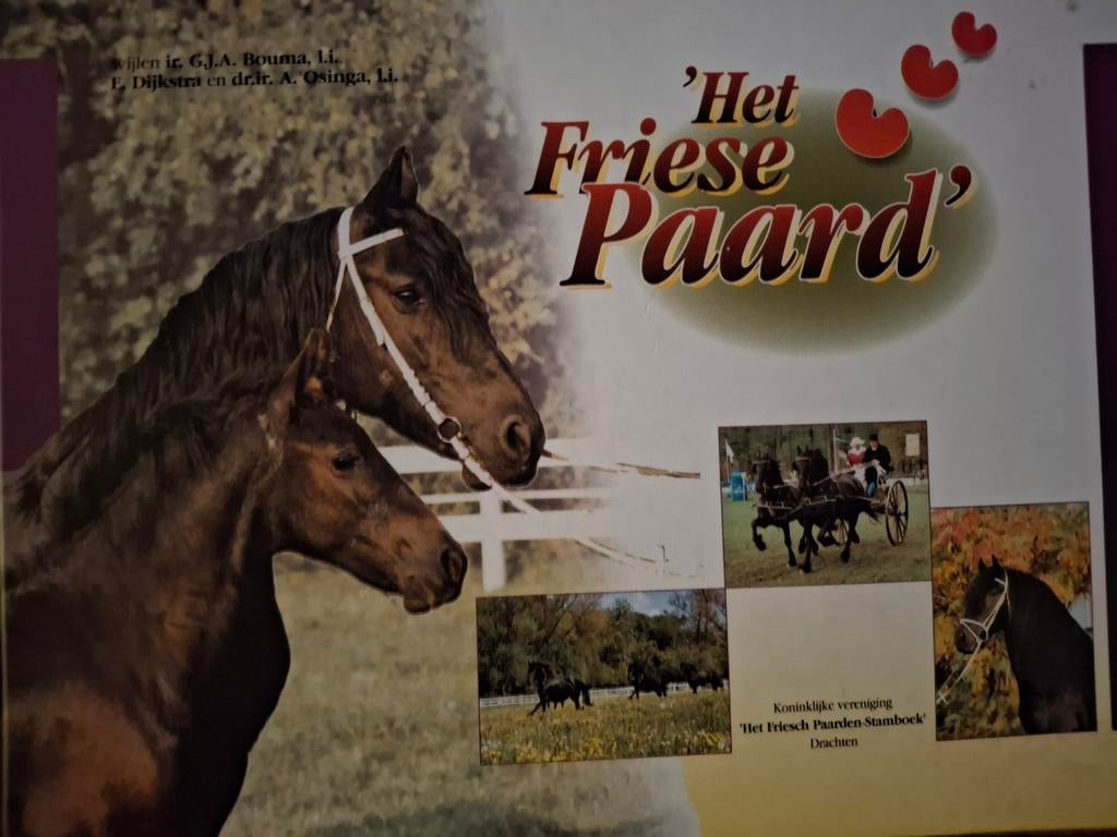Het Friese Paard FRS arreslee fokken stamhengst stermerrie, Ophalen of Verzenden, Gelezen, Paarden of Pony's