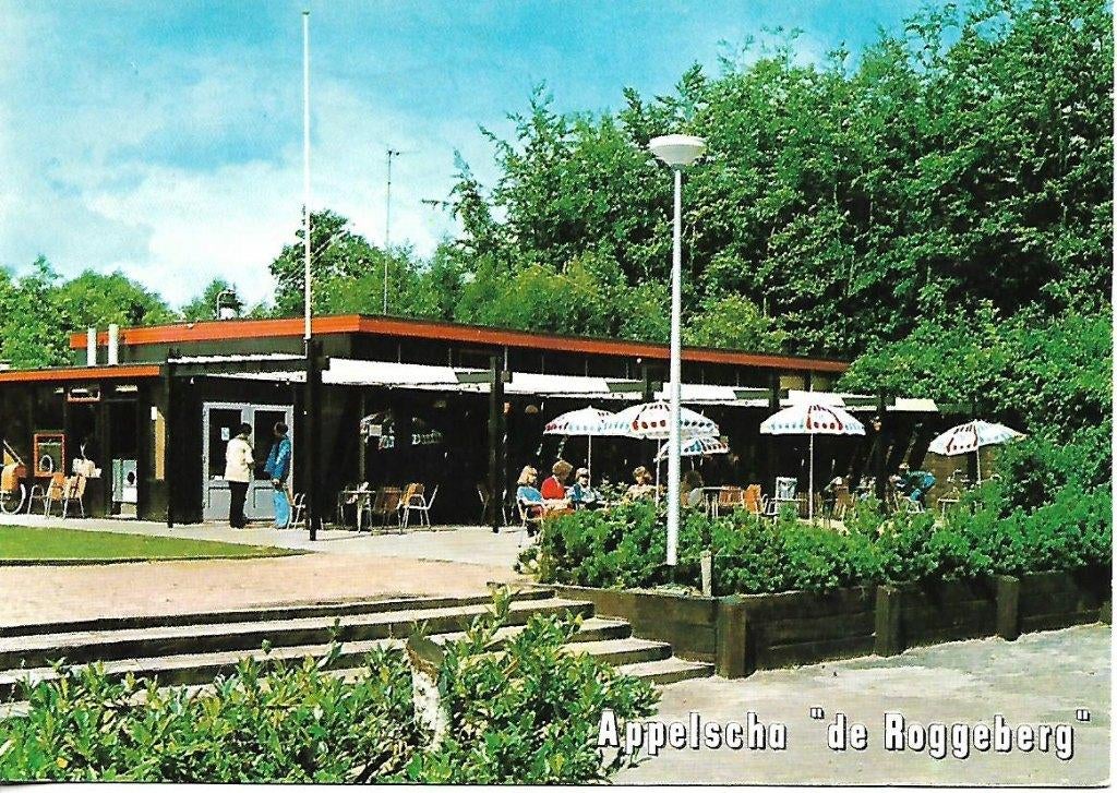 Appelscha- -De Roggeberg., Verzenden, 1980 tot heden, Gelopen, Friesland
