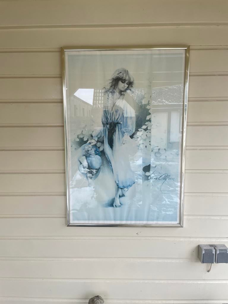 Schilderij van Sara Moon, Ophalen