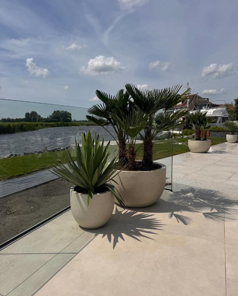 Luca lifestyle trendy bloembakken / plantenbakken te koop!, Kunststof, 100 cm of meer, Rond, Nieuw