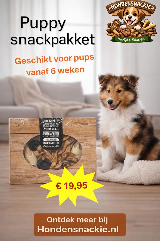 Puppy snackpakket vanaf 9 weken, Dieren en Toebehoren, Honden-accessoires, Grote Heide Bernheze, Info@hondensnackie.nl, Nieuw