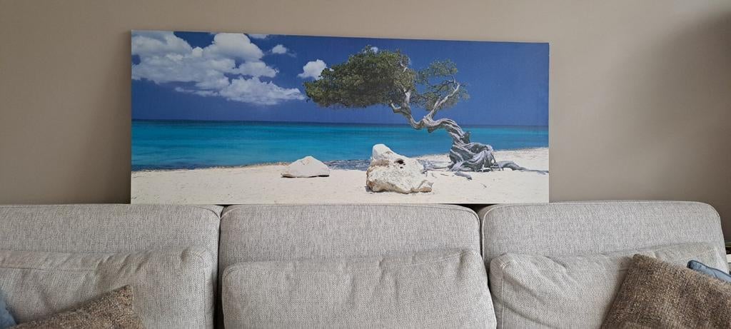 Canvas schilderij boom op de Antillen, Ophalen