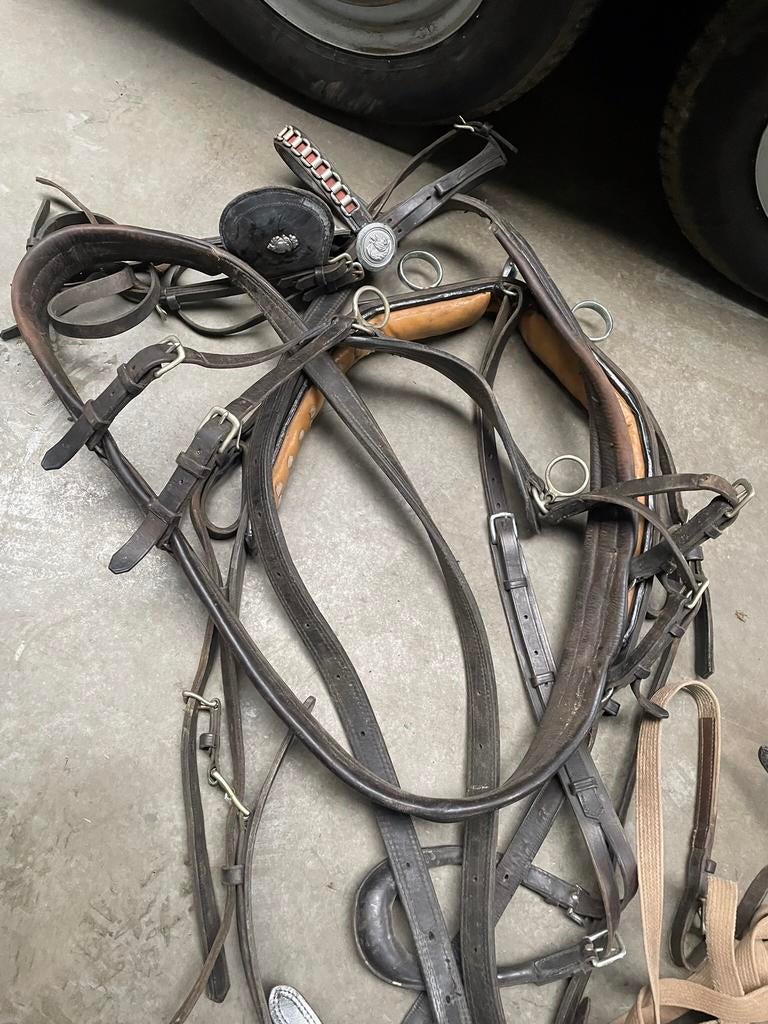 Diverse tuigen, Dieren en Toebehoren, Ophalen of Verzenden, Nieuw, Recreatie