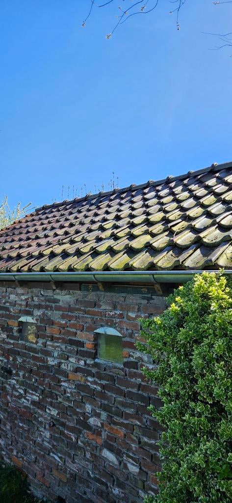 Gebruikte dakpannen, Doe-het-zelf en Verbouw, Dakpannen en Dakbedekking, Gebruikt, Steen of Klei, Ophalen of Verzenden, 15 m² of meer