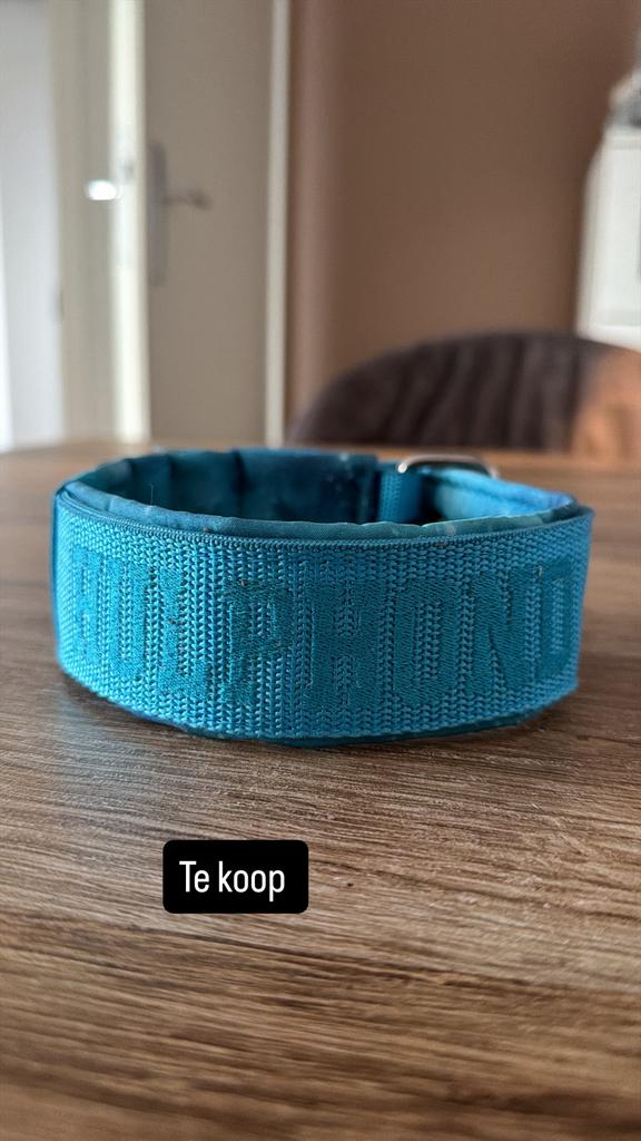 Hulphond halsband, Ophalen of Verzenden, Nieuw