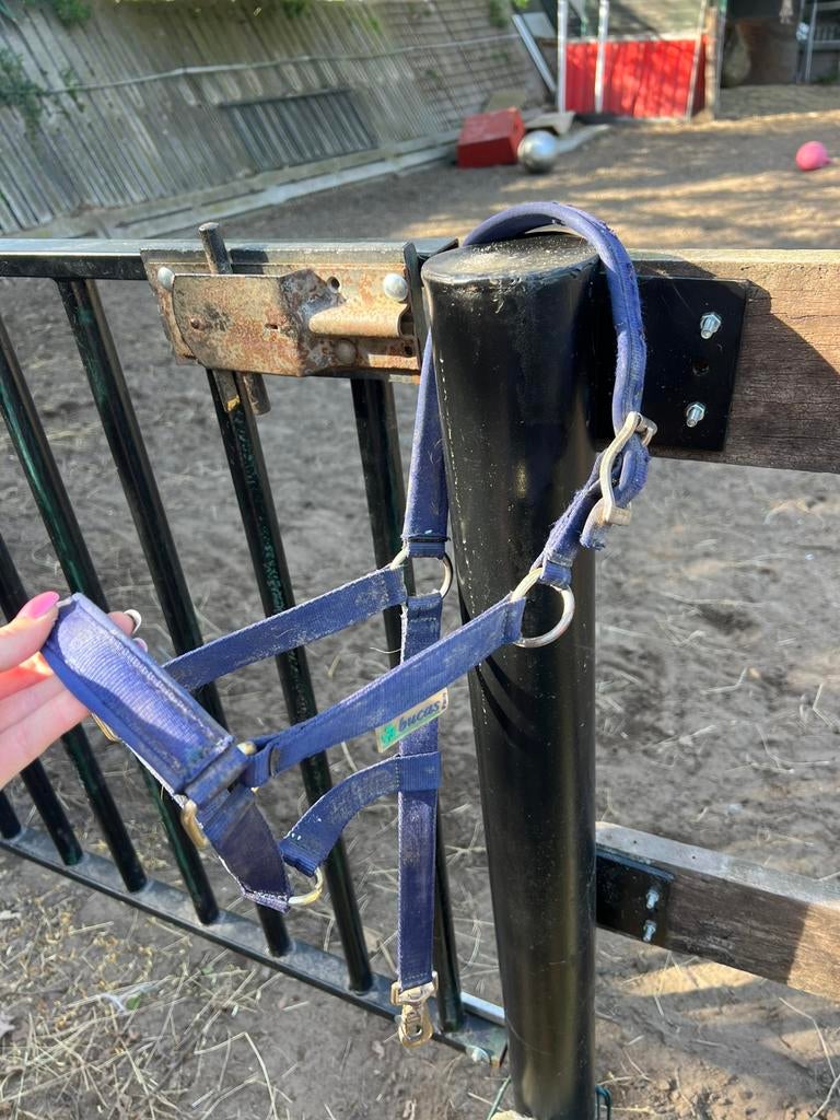 Halsters, Dieren en Toebehoren, Paarden en Pony's | Overige Paardenspullen, Ophalen of Verzenden, Zo goed als nieuw, Overige soorten