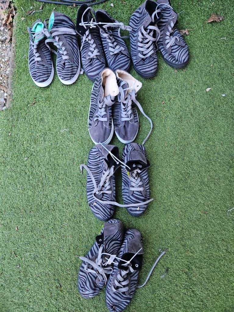 Pakket grijze sneakers van Greyhound, Greyhound, Nieuw, Ophalen of Verzenden, Sneakers of Gympen