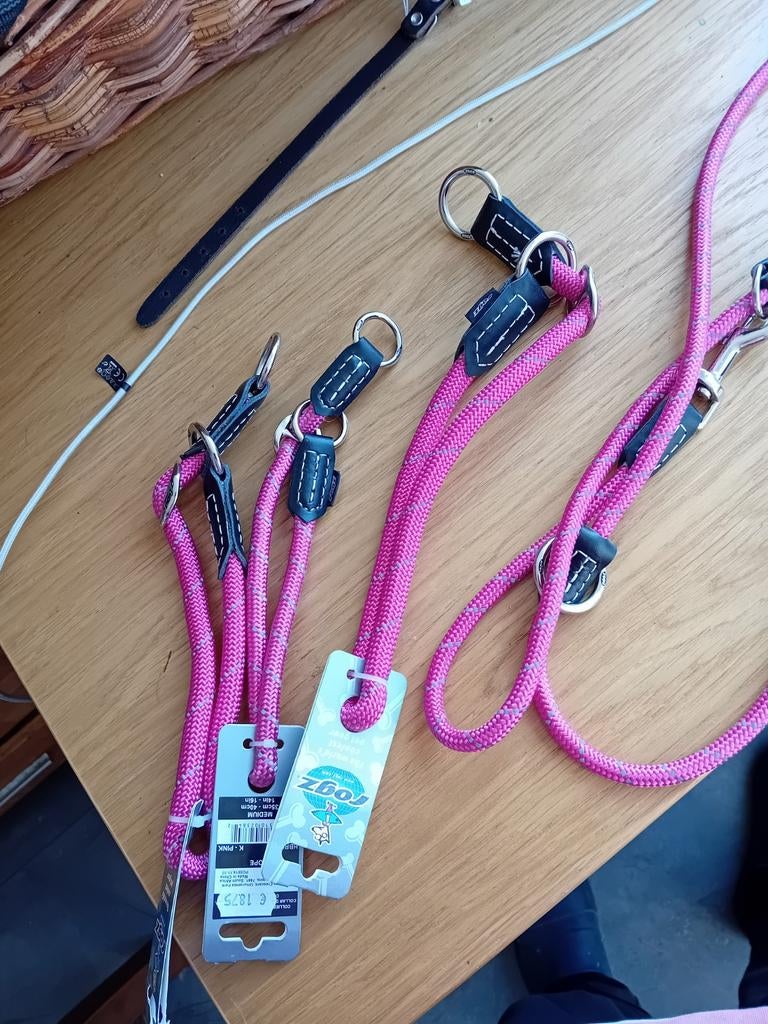 Diversen halsbanden, Ophalen of Verzenden, Nieuw, Hondenriem