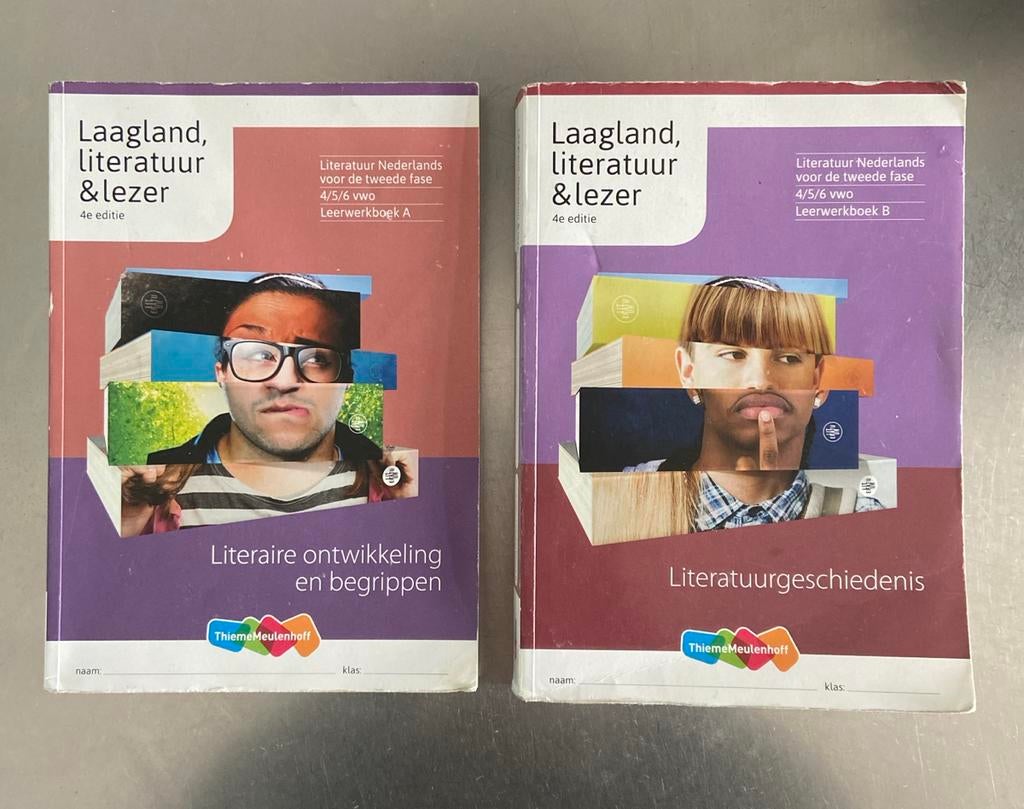 Laagland literatuur & lezer 4e editie (A & B), Boeken, Ophalen of Verzenden, Zo goed als nieuw, Nederland