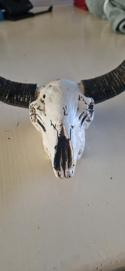 Nep schedel met hoorns - Muurdecoratie, Ophalen of Verzenden, Nieuw, Wandhanger