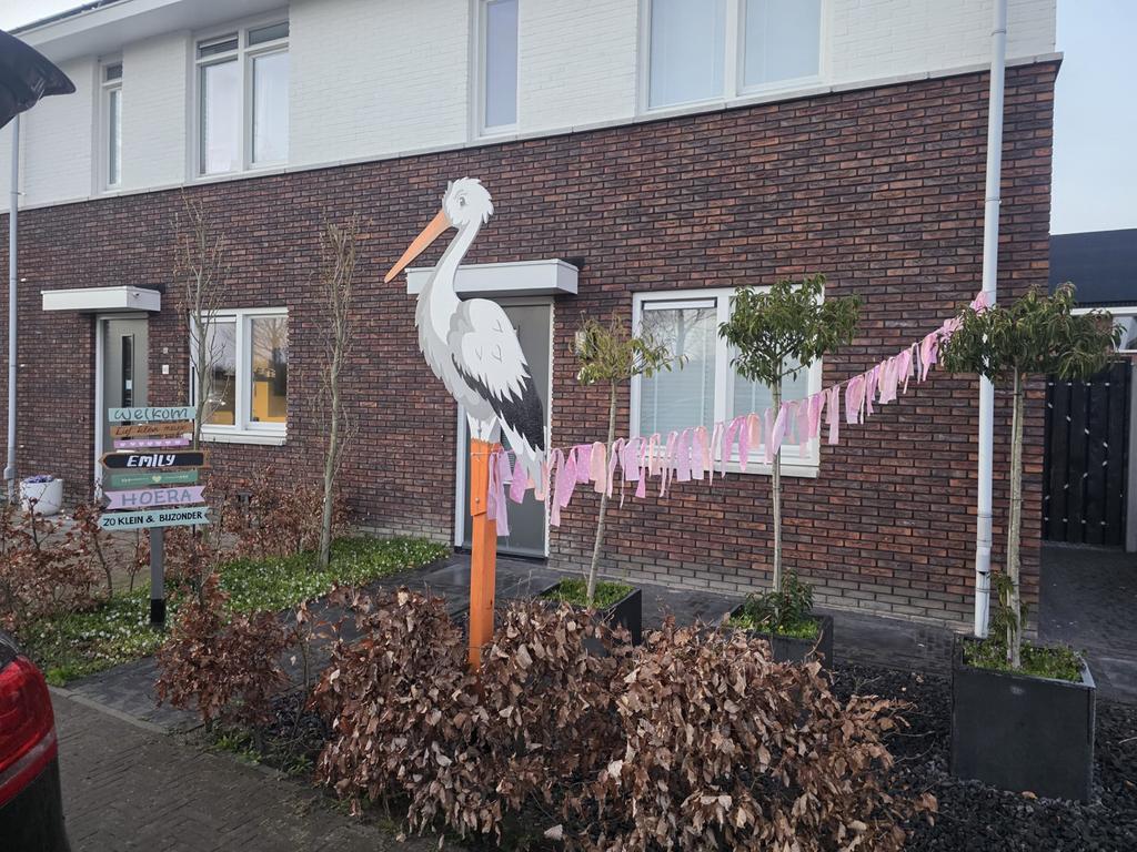 Geboortebord ooievaar, Ophalen, Gebruikt, Geboorte of Huwelijk