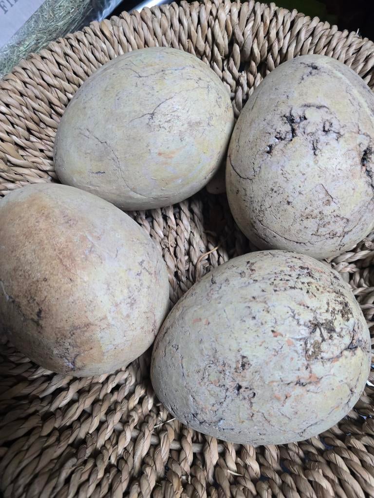 Mand met hele grote stenen paas eieren, Diversen, Pasen, Ophalen