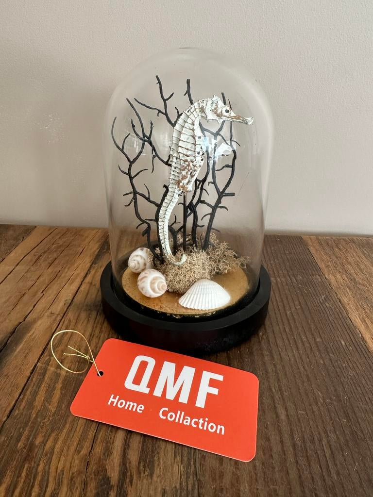 Zeepaardje in stolp, Verzenden, Nieuw