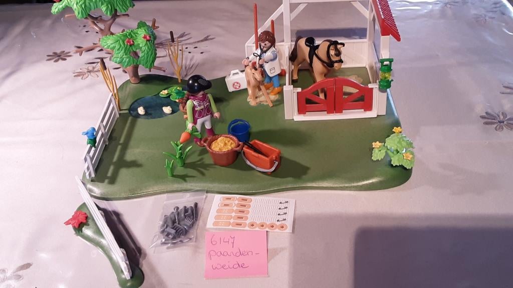 6147 paardenweide en dierenarts, Ophalen of Verzenden, Zo goed als nieuw, Complete set