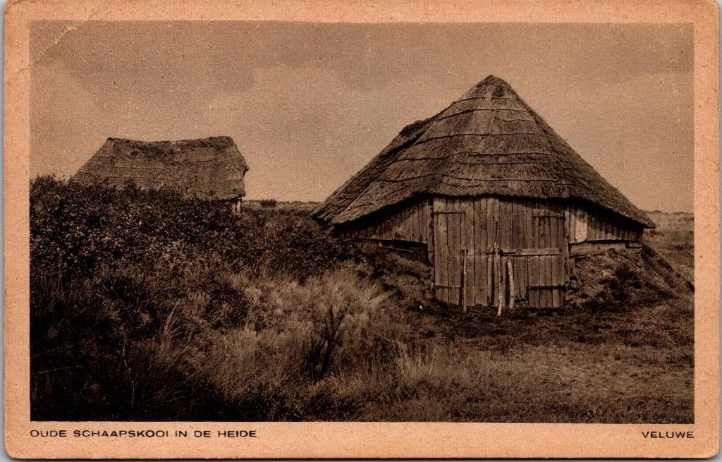 Veluwe - Oude schaapskooi in de heide, Verzenden, Voor 1920, Ongelopen, Gelderland
