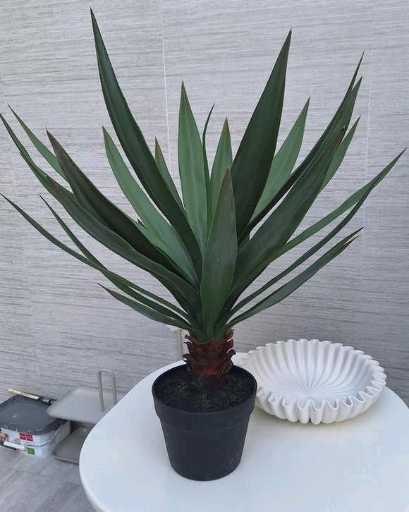 Mooie grote groen grijs agave kunst plant nieuw, Ophalen, Nieuw, X, X