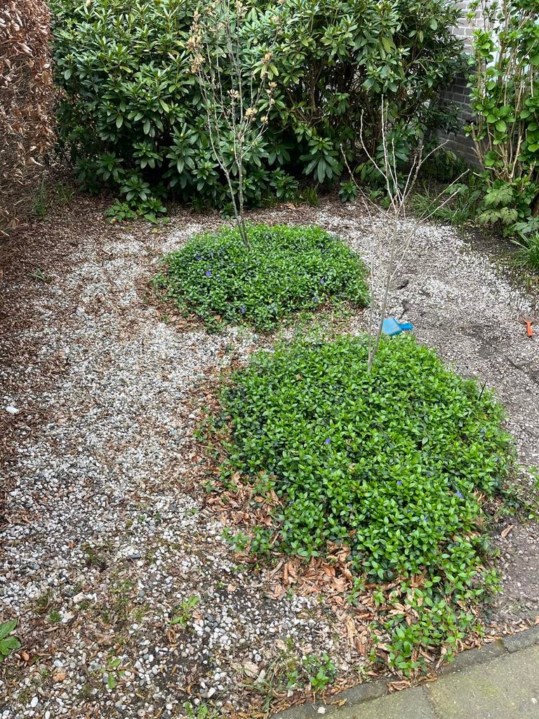 Siergrind voor tuin of oprit, Tuin en Terras, Grind, Keien en Split, Ophalen, Overige materialen, Gebruikt, Wit