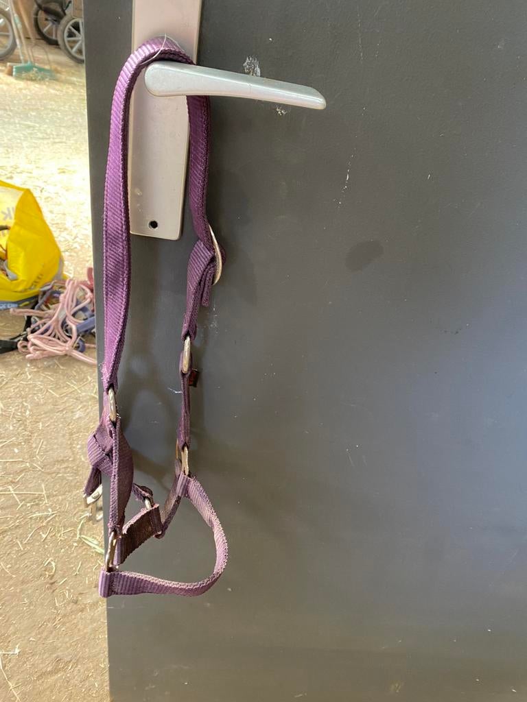 Halsters te koop, verschillende maten, Ophalen of Verzenden, Zo goed als nieuw, Overige soorten