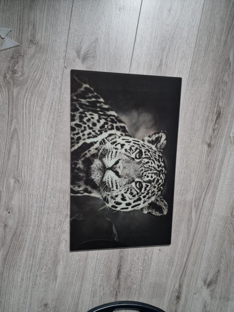 Luipaard glas schilderij nieuw, Ophalen of Verzenden, Nieuw, Schilderij, 75 cm of meer