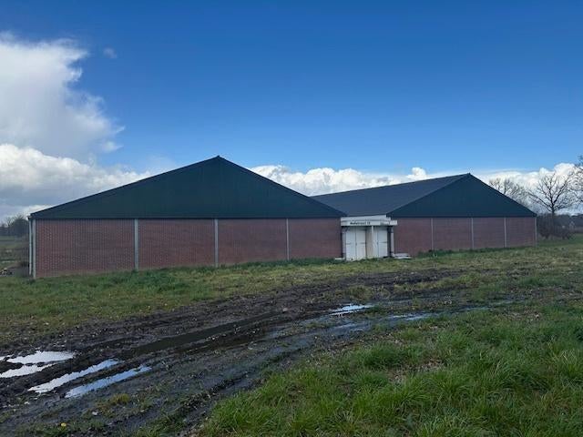 stal, schuur, loods, hal, constructie, Ophalen of Verzenden, Varkenshouderij