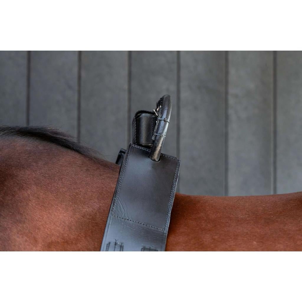 Birth alarm te huur, Ophalen, Zo goed als nieuw, Overige soorten